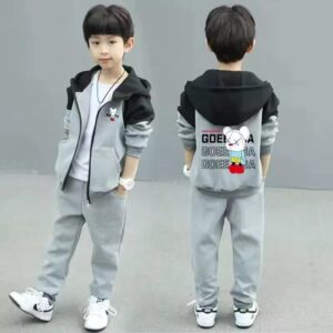 Hoodie+Pant Set=Grey